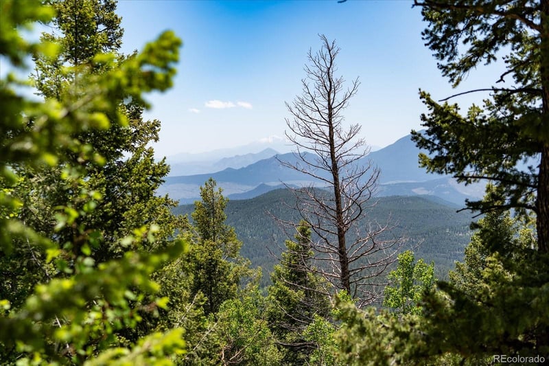 11698 Nichols Way, Conifer, CO 80433