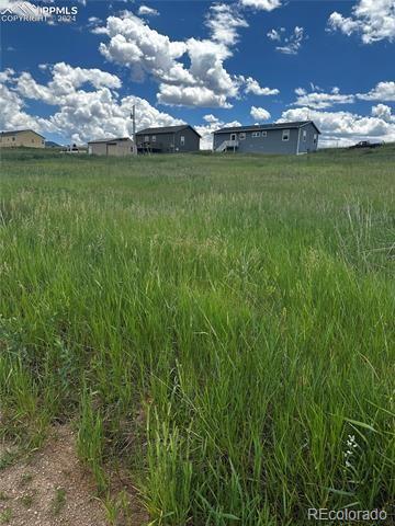 1298 Will Scarlet Dr, Divide, CO 80814