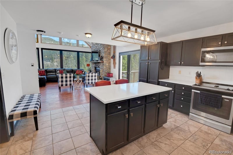 496 Quartzville Rd, Alma, CO 80420