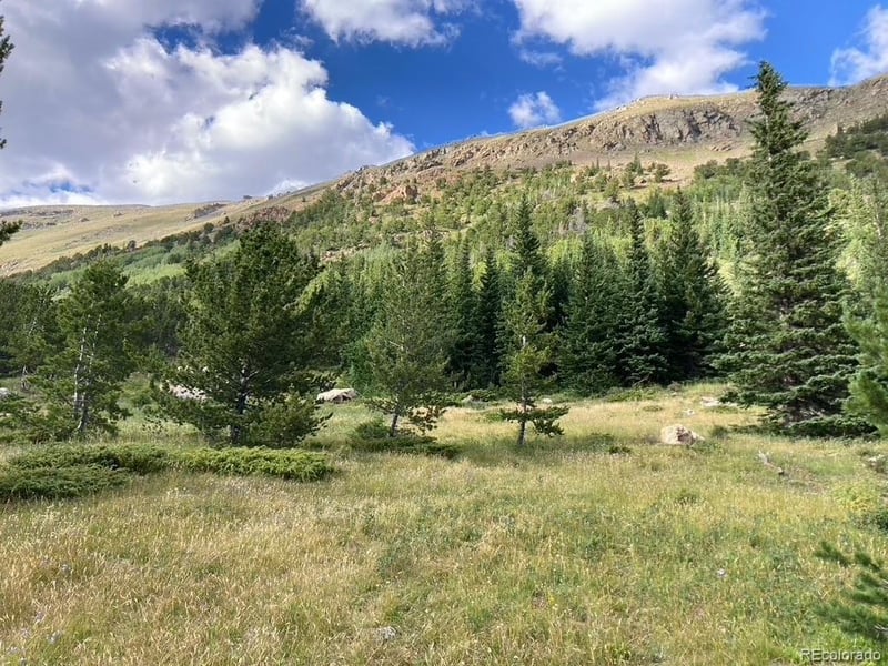 4400 4th Of July Rd, Nederland, CO 80466
