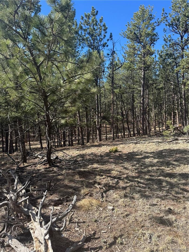 642 Matterhorn Dr Lot 7, Florissant, CO 80816