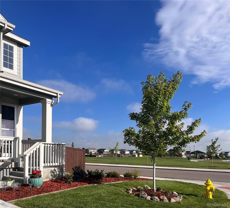 14475 Grape Way, Thornton, CO 80602