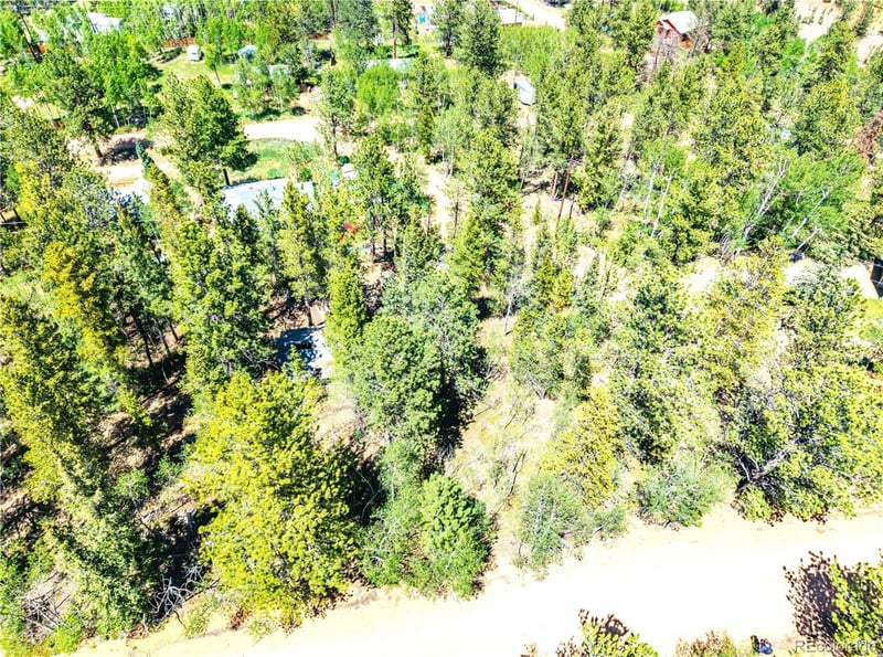 33 Smith St, Bailey, CO 80421