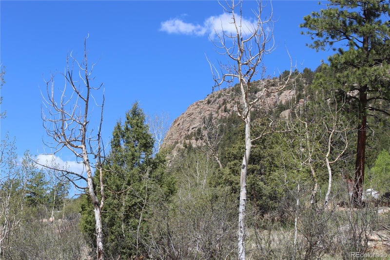 234 Panorama Dr, Bailey, CO 80421