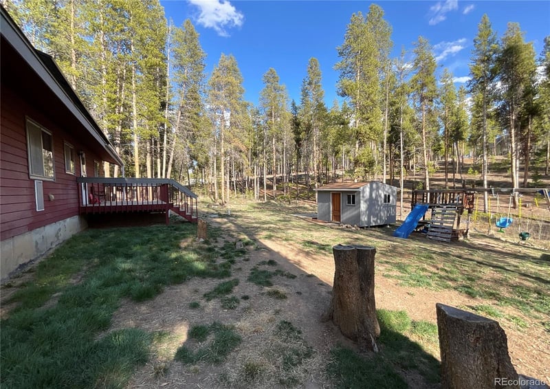 1776 County Road 4, Leadville, CO 80461