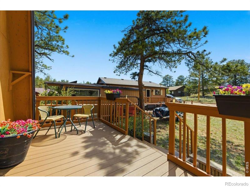 80 Walela Ln, Red Feather Lakes, CO 80545