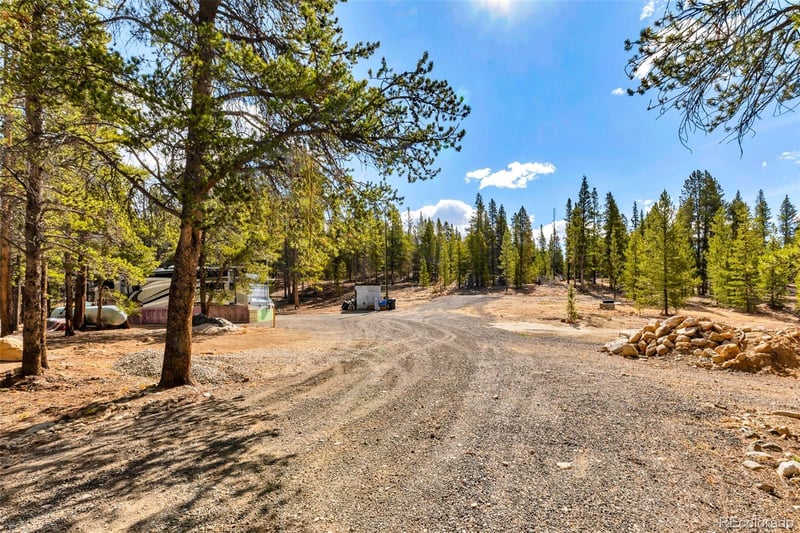 265 Placer Dr, Alma, CO 80420