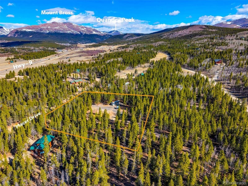 265 Placer Dr, Alma, CO 80420