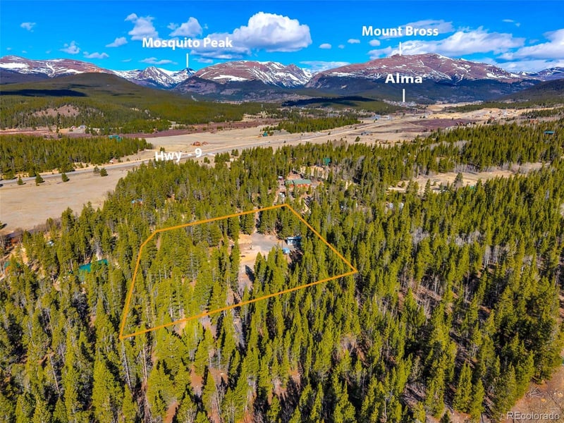 265 Placer Dr, Alma, CO 80420