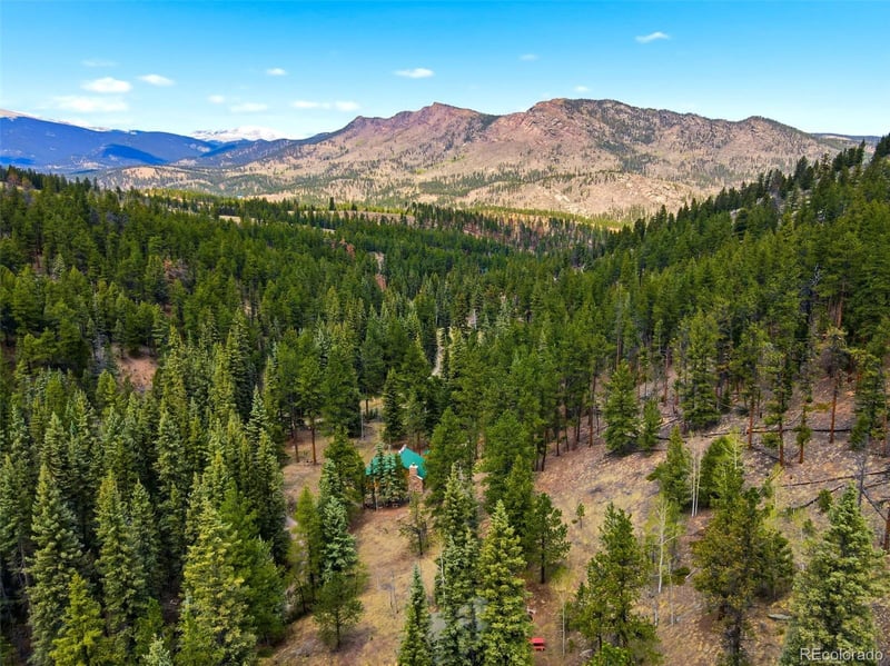 652 Payne Gulch Rd, Bailey, CO 80421