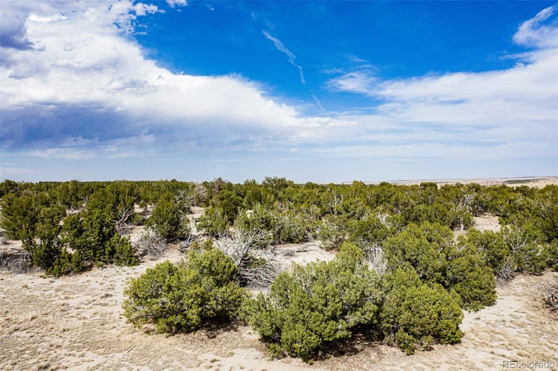 241 Morning Star Rd, Rye, CO 81069