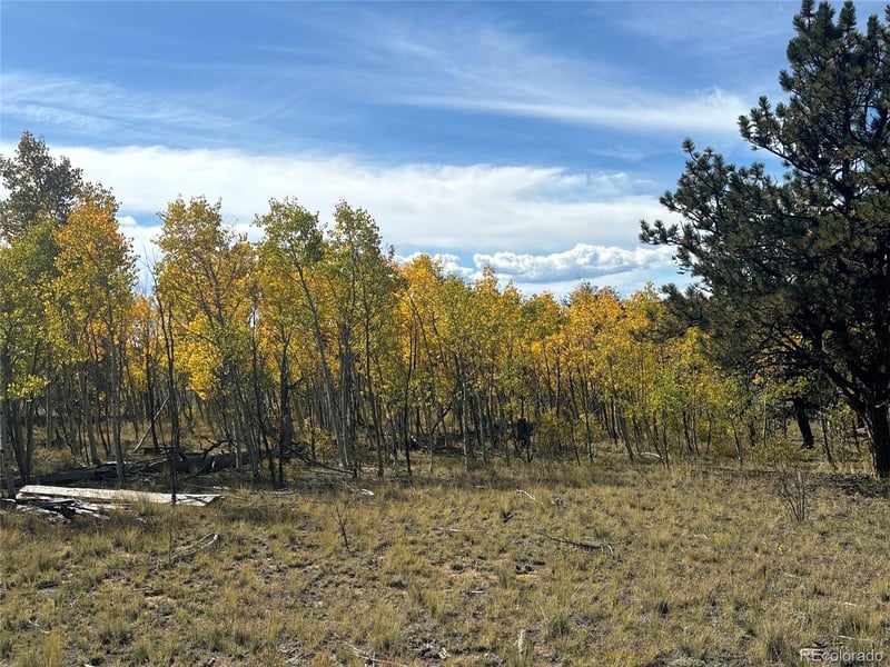 890 Mcdowell Dr, Jefferson, CO 80456