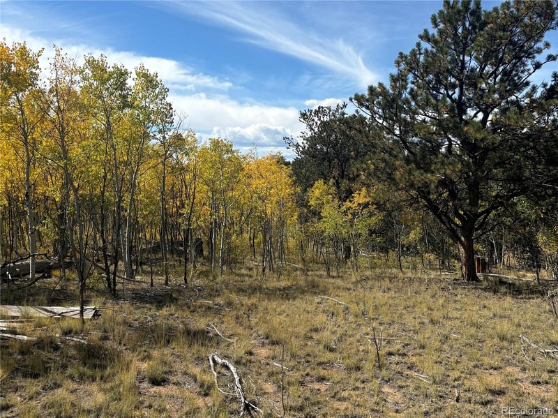 890 Mcdowell Dr, Jefferson, CO 80456