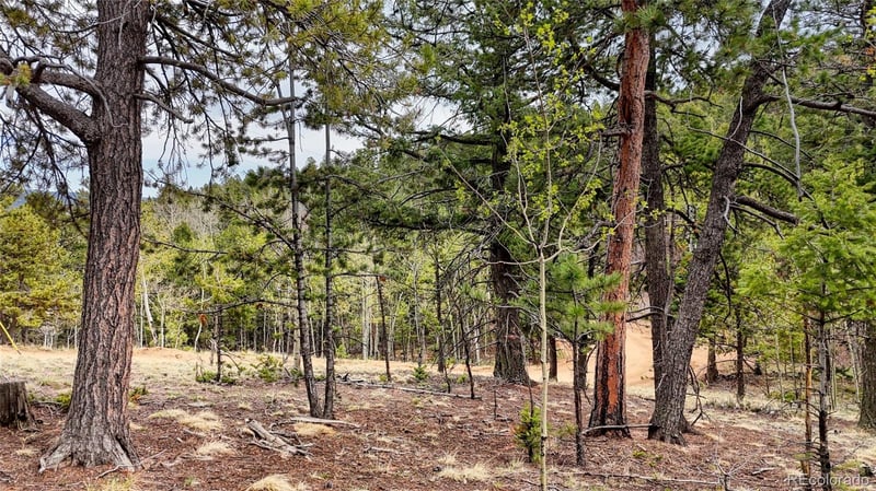 259 Potlatch Trl Lot 15-19, Woodland Park, CO 80863