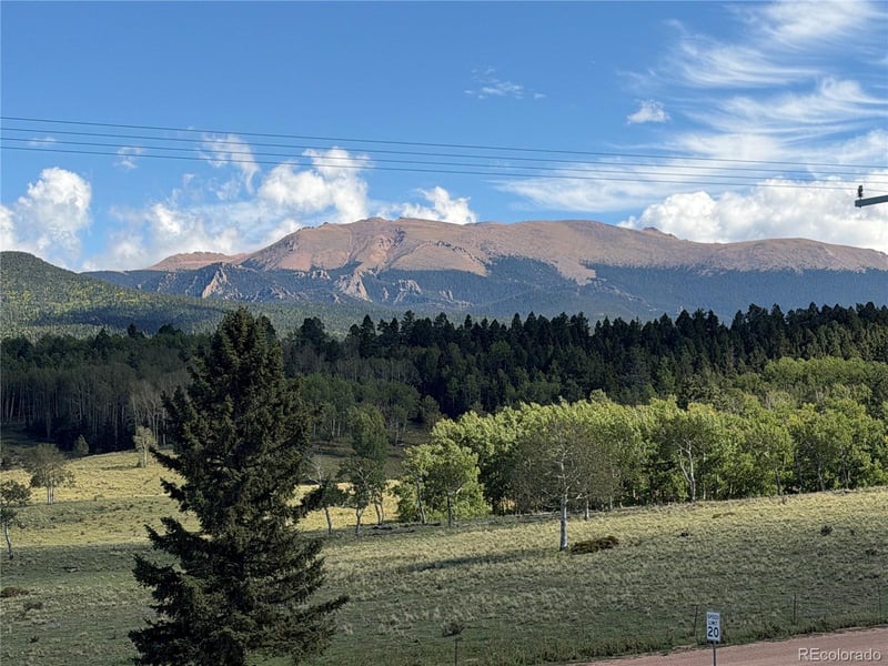 538 Friar Tuck Dr, Divide, CO 80814