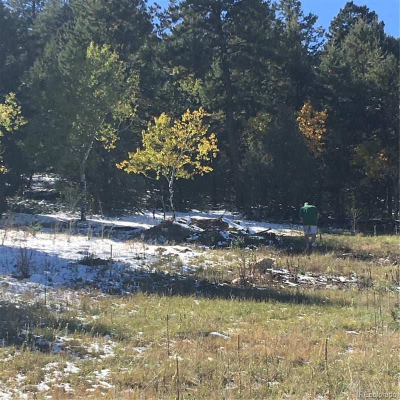 14745 Wetterhorn Peak Trl Lot 036A, Pine, CO 80470