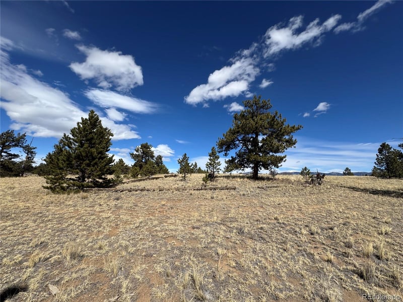 62 Powder Way, Jefferson, CO 80456