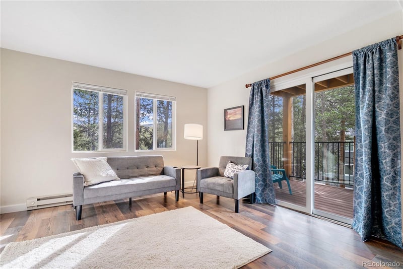 110 Now Colorado Ct #E8, Breckenridge, CO 80424