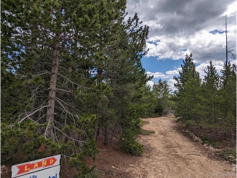 90 Quapaw Ct, Red Feather Lakes, CO 80545