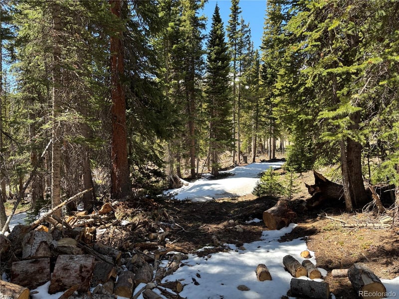 192 Kimmes Ln Lot 40, Breckenridge, CO 80424