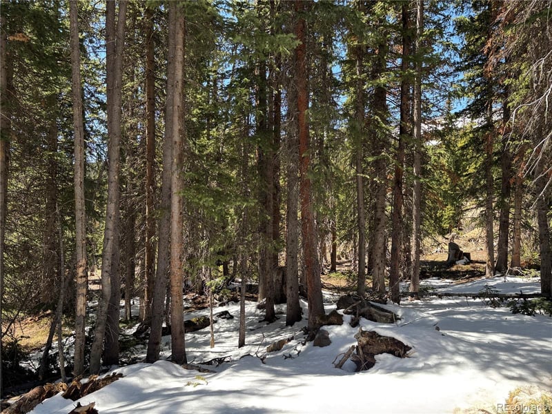 192 Kimmes Ln Lot 40, Breckenridge, CO 80424