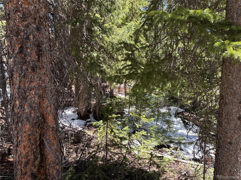 192 Kimmes Ln Lot 40, Breckenridge, CO 80424