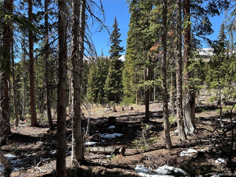 192 Kimmes Ln Lot 40, Breckenridge, CO 80424