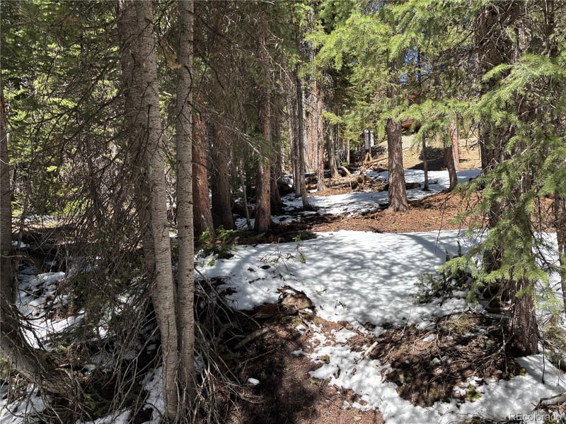 192 Kimmes Ln Lot 40, Breckenridge, CO 80424