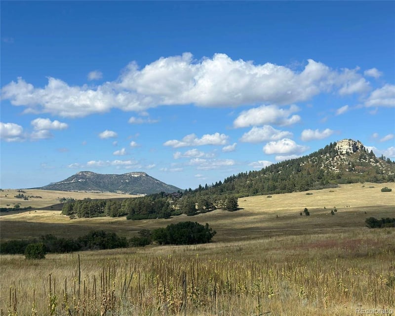 100 W Noe Rd, Larkspur, CO 80118