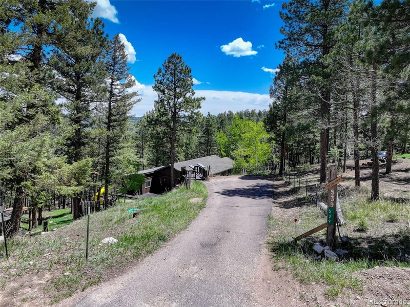 539 S Random Rd, Bailey, CO 80421