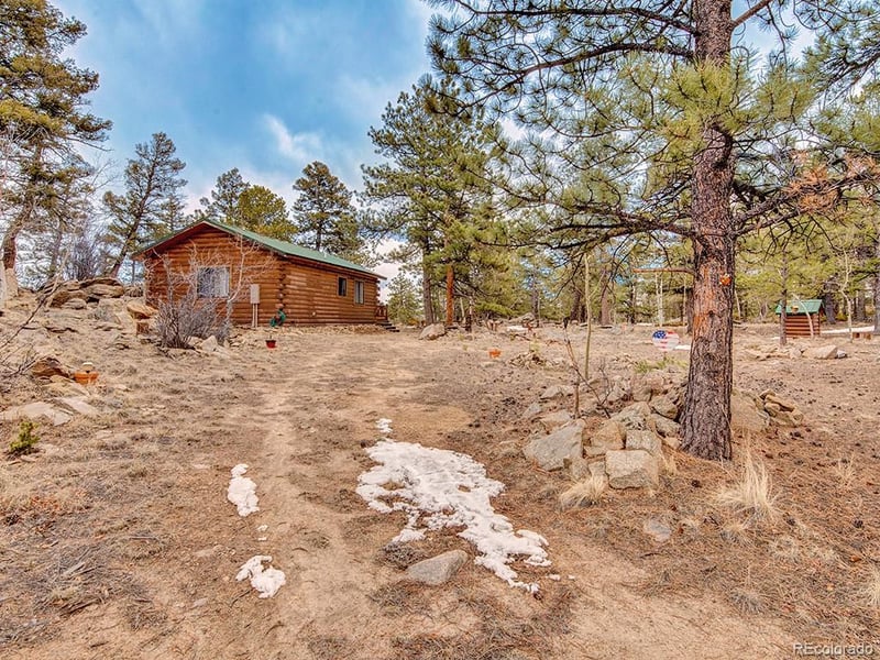 1462 Pulver Rd, Lake George, CO 80827