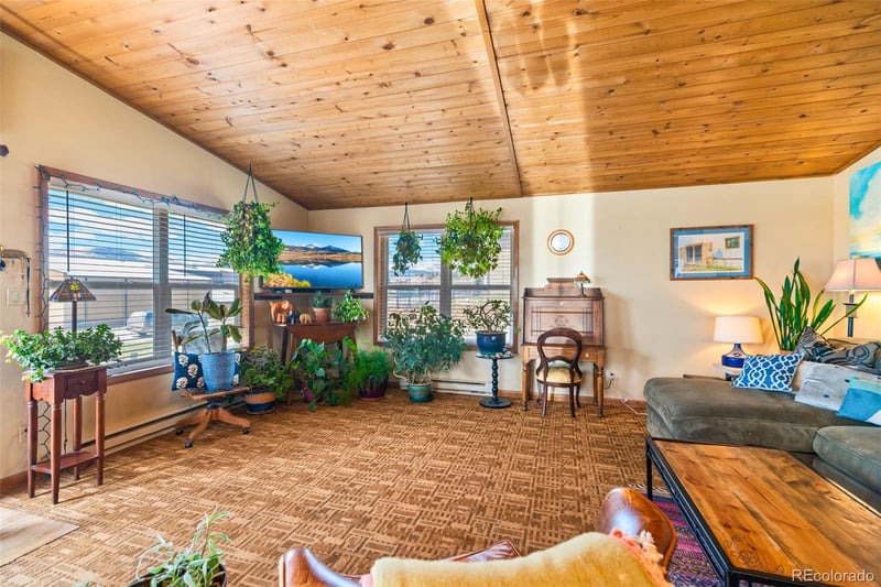 740 Castello Ave, Fairplay, CO 80440