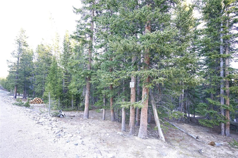210 Silverheels Pl, Fairplay, CO 80440