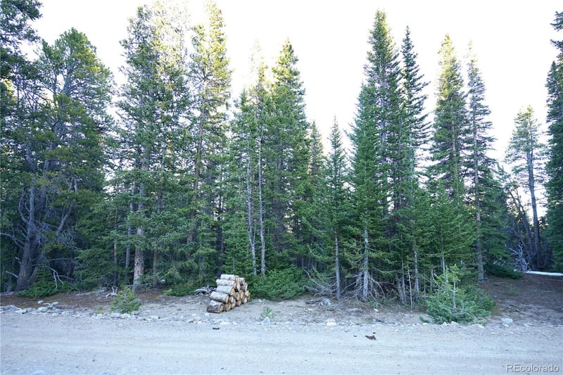 210 Silverheels Pl, Fairplay, CO 80440