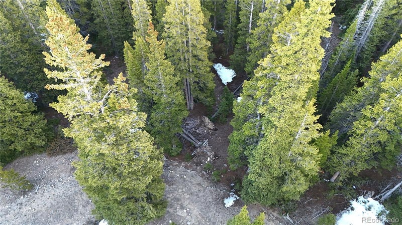 252 Silverheels Pl, Fairplay, CO 80440
