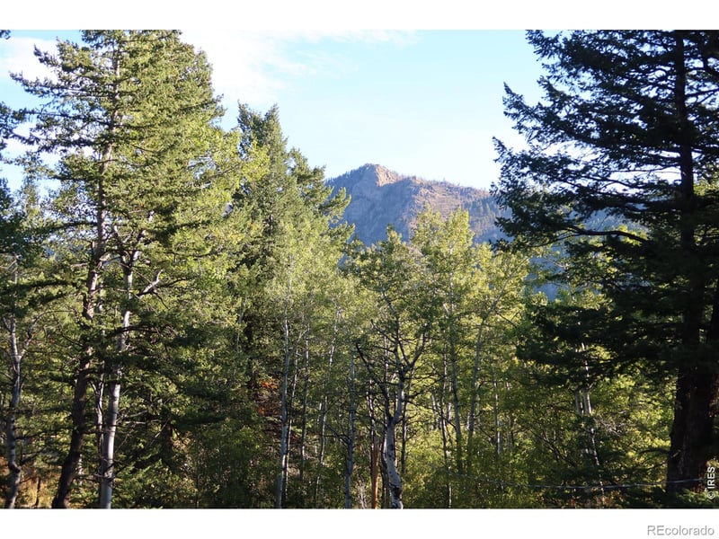 1655 Black Squirrel Dr, Estes Park, CO 80517
