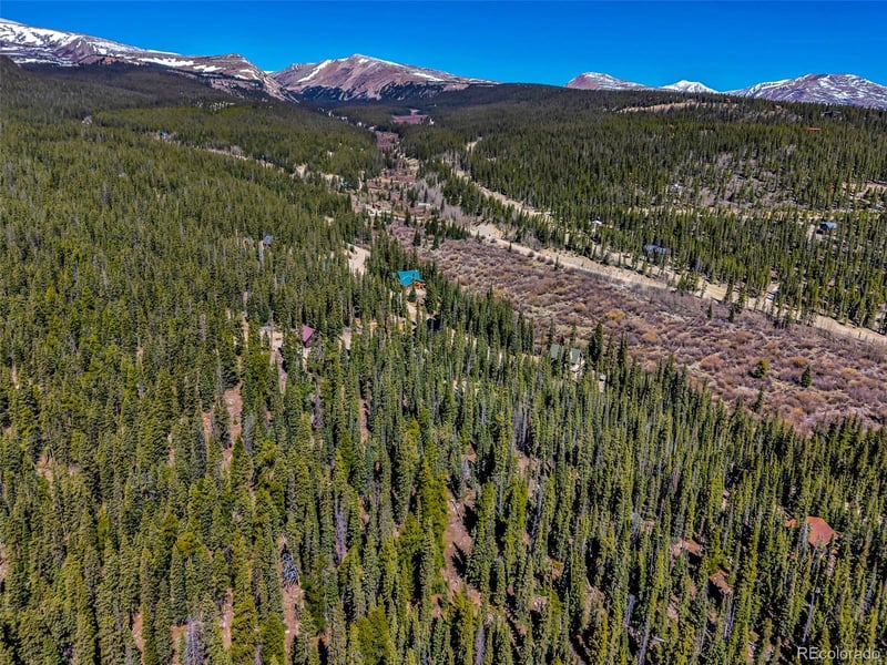 880 Gold Pan Ln Lot 0739, Fairplay, CO 80440