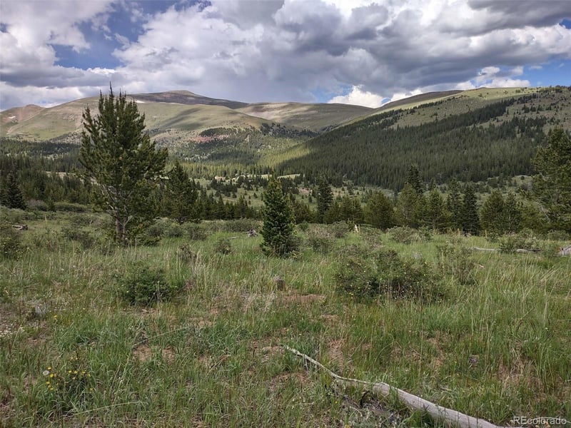 0 Snow Cap Peaks Rd Lot 10, Alma, CO 80402
