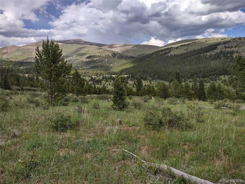 0 Snow Cap Peaks Rd Lot 10, Alma, CO 80402