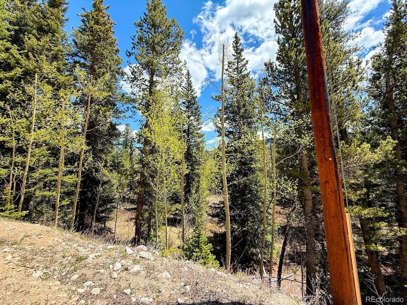 324 Bauxite Ln, Fairplay, CO 80440