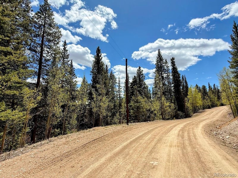 324 Bauxite Ln, Fairplay, CO 80440