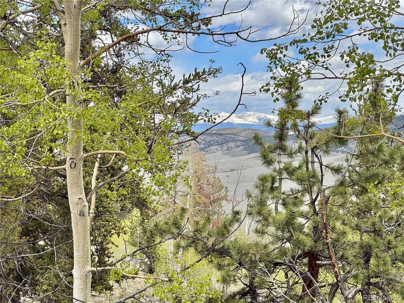 5544 Middle Fork Vi Lot 532/533, Fairplay, CO 80420