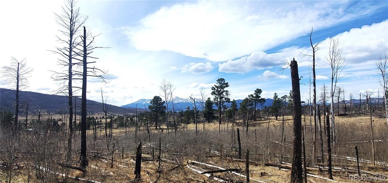 Lot 1209 Emery Loop, Fort Garland, CO 81133
