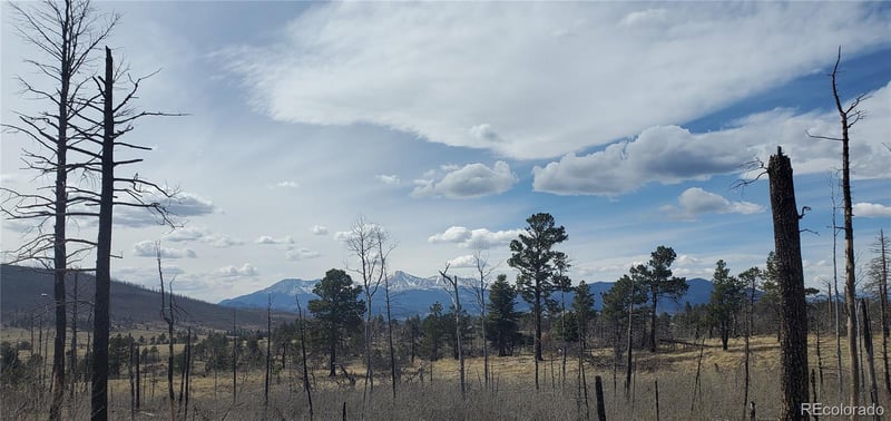 Lot 1209 Emery Loop, Fort Garland, CO 81133