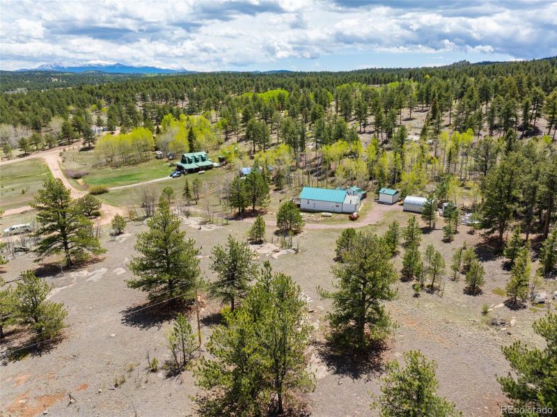121 Bridle Ln, Florissant, CO 80816