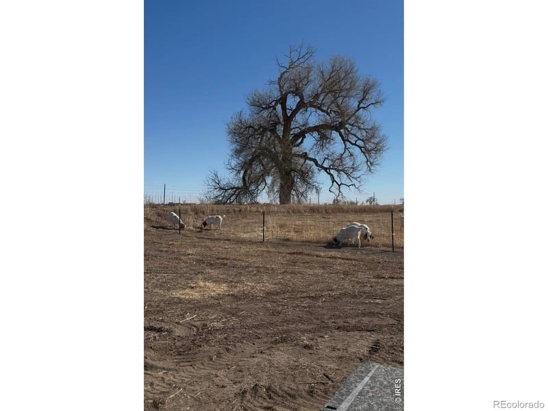 1932 N County Road 23, Berthoud, CO 80513