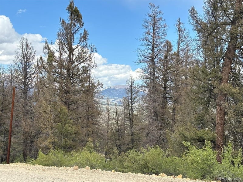 225 Trout Creek Ln, Fairplay, CO 80440