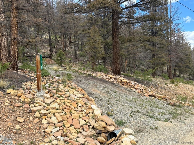 225 Trout Creek Ln, Fairplay, CO 80440