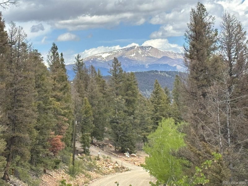 225 Trout Creek Ln, Fairplay, CO 80440