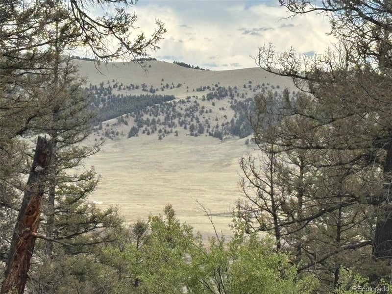 225 Trout Creek Ln, Fairplay, CO 80440